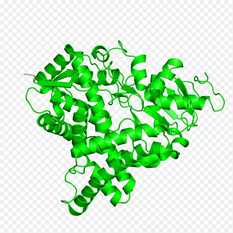 ���̵��������-������