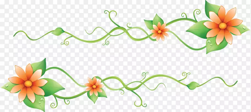 �߻���Ҷ����Ҷ-������