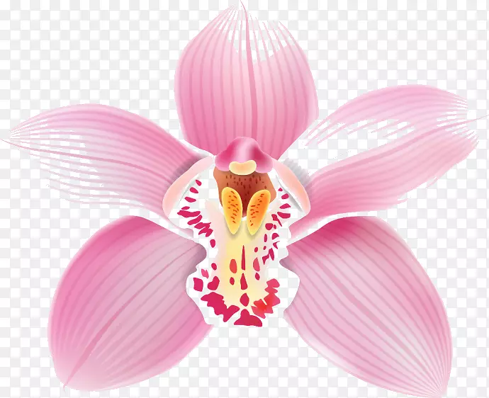 �ɶ�����������-��-������