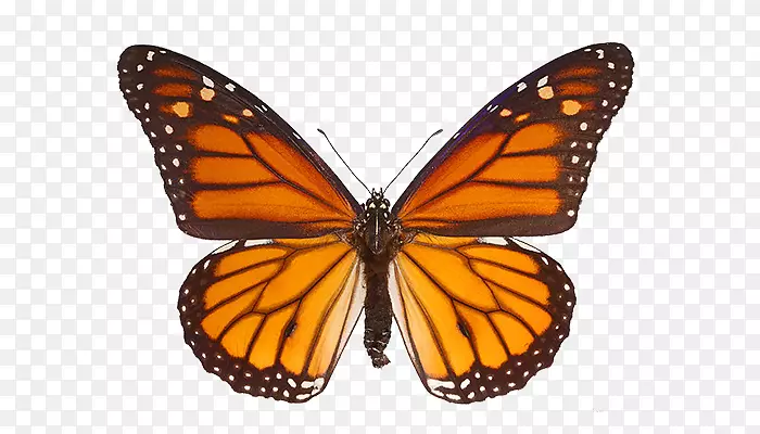 ����������ݵ��������-������