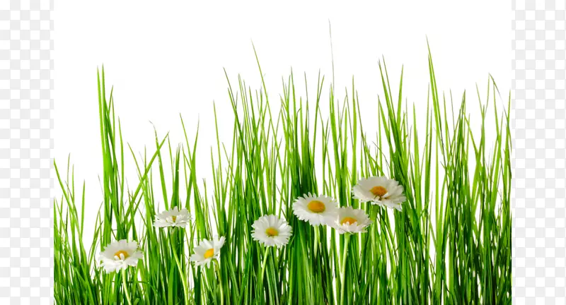 ���������ֽ��������ʾ�-������