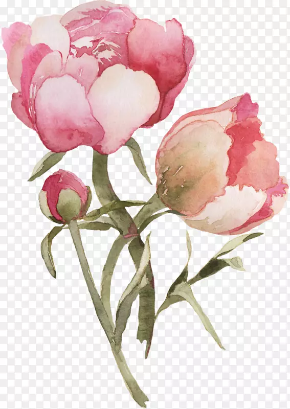 ��д���鷨��������-�ۺ커��Ա-������