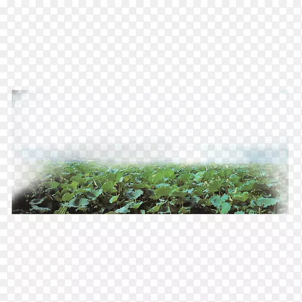 ������������-�������-������