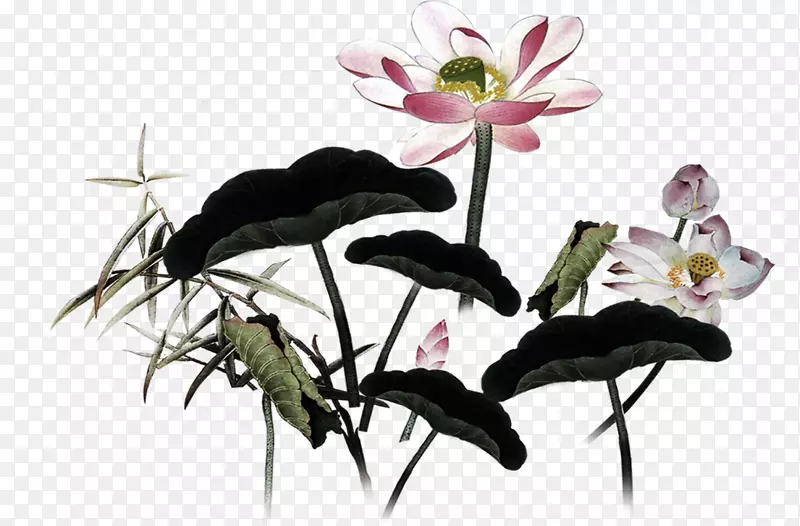 ˮ�ʻ����������-������ˮ�ʻ�����-������