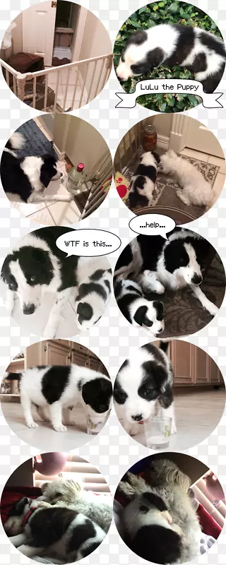 ëƤƴ������-������