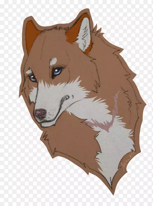 �����ͨ����β�Ͱ�����-������