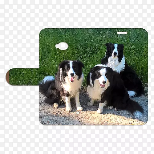 �߾�����Ȯ�Ĵ���������Ȯ����˹����Ȯ��ֳ�ֲ�����Ȯ-΢���Ӵ�98-������