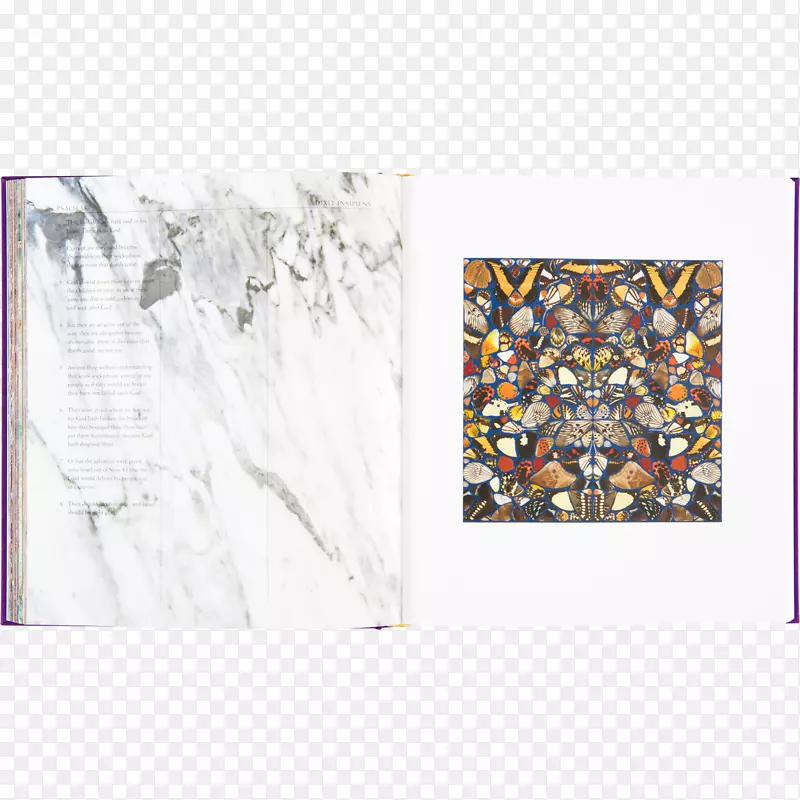 ����-������