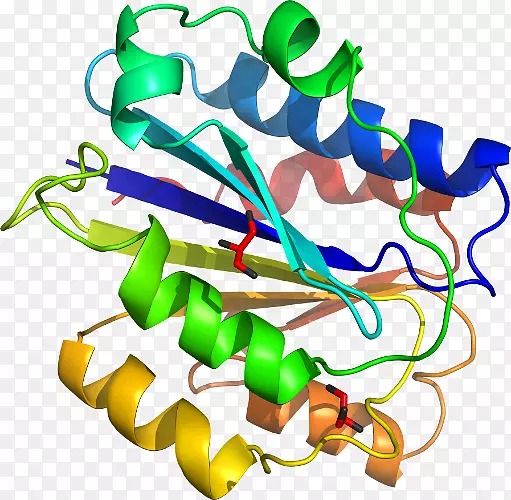 ֲ�ﾥ���鱦�߼�������-������