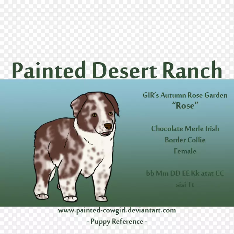 ����ֳȮ��������-С��-������