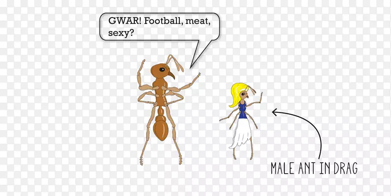 ����������ָ��ͨ����-������