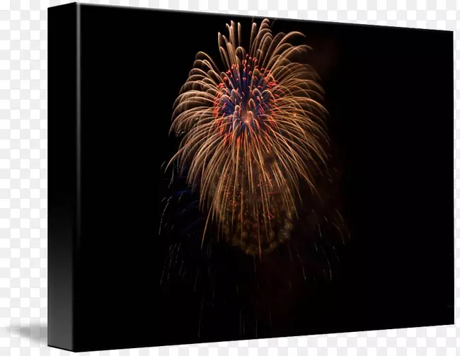 ��Ӱ��ë-������