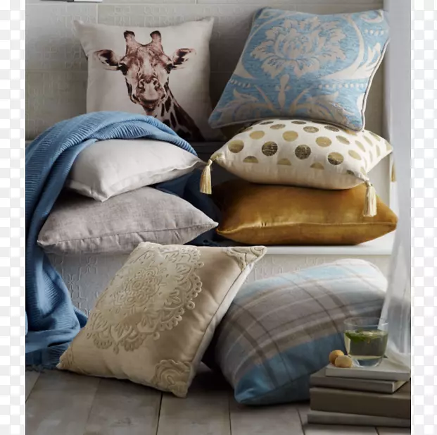 ���ޱ���ͷ�氢˹��ר����-������