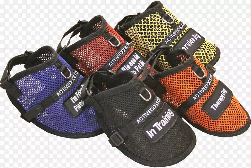 ����Ь����ѵ�������˶�Ь.����Ȯ��-������