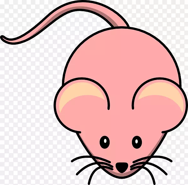 ������������-�������-������