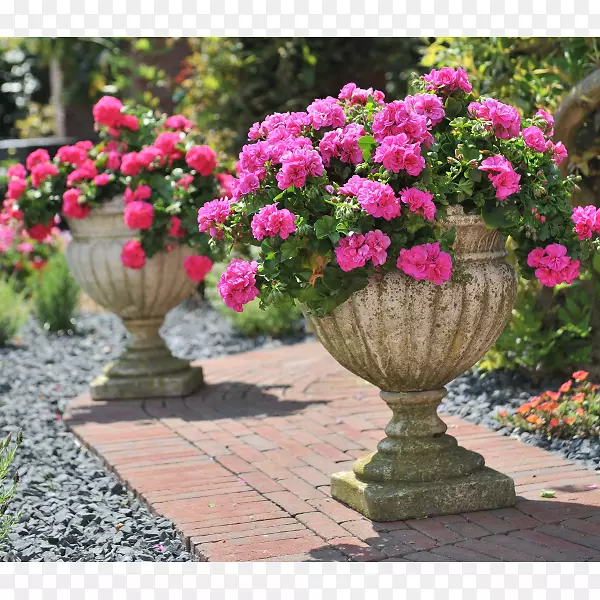 һ����ֲ�ﻨ԰�������ÿ���.���ÿ�-������