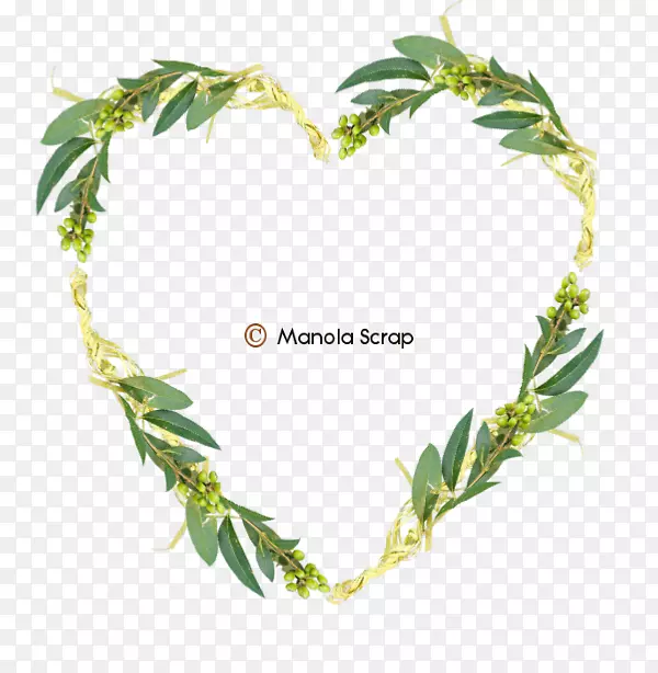 ֲ�ﾥ���Ͷ����Ϳ��-������