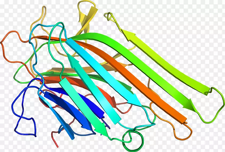 �ߵ������������-������