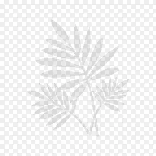 ����ֲ��ϵҶƬ��֦ϵ-������