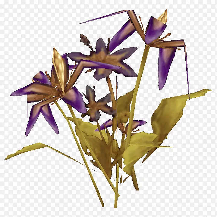 ħ������ҩ��ŷ�����˿���ֲ����ϵ-ħ������-������