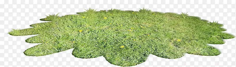 ��-��-������