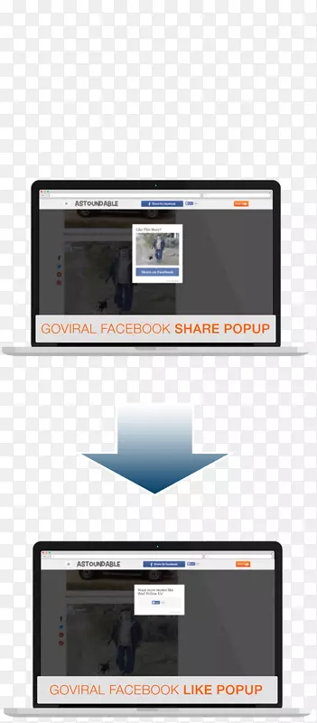 ������ʾ����ý�������-������