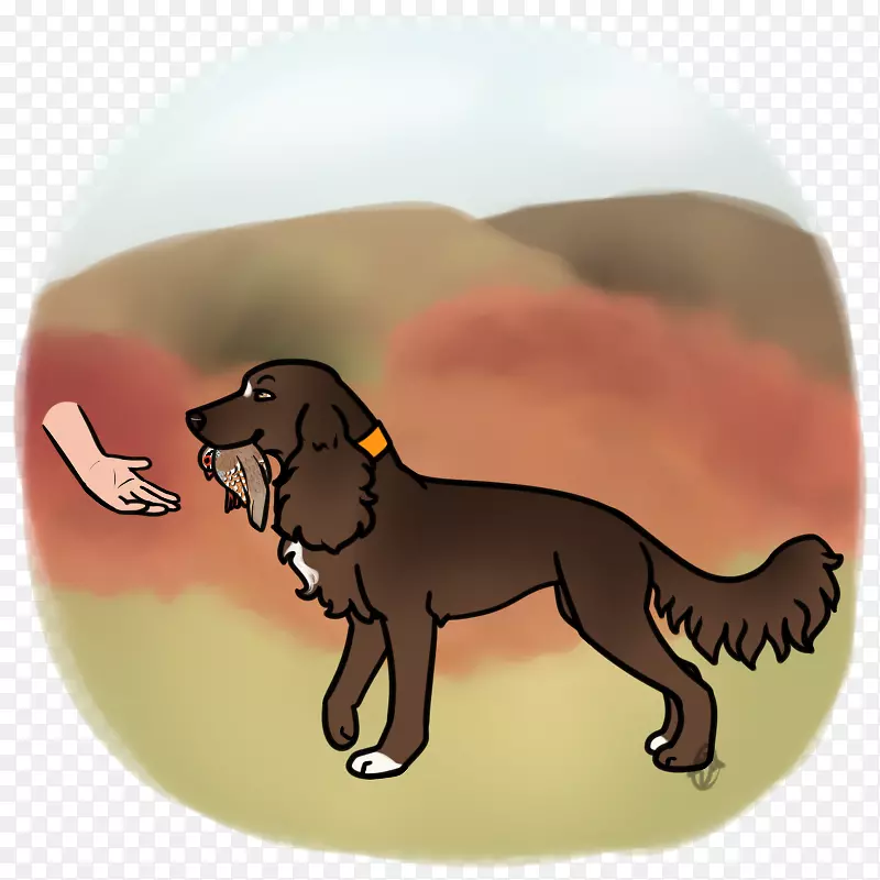 С��è���ӿ�ͨ-С��-������