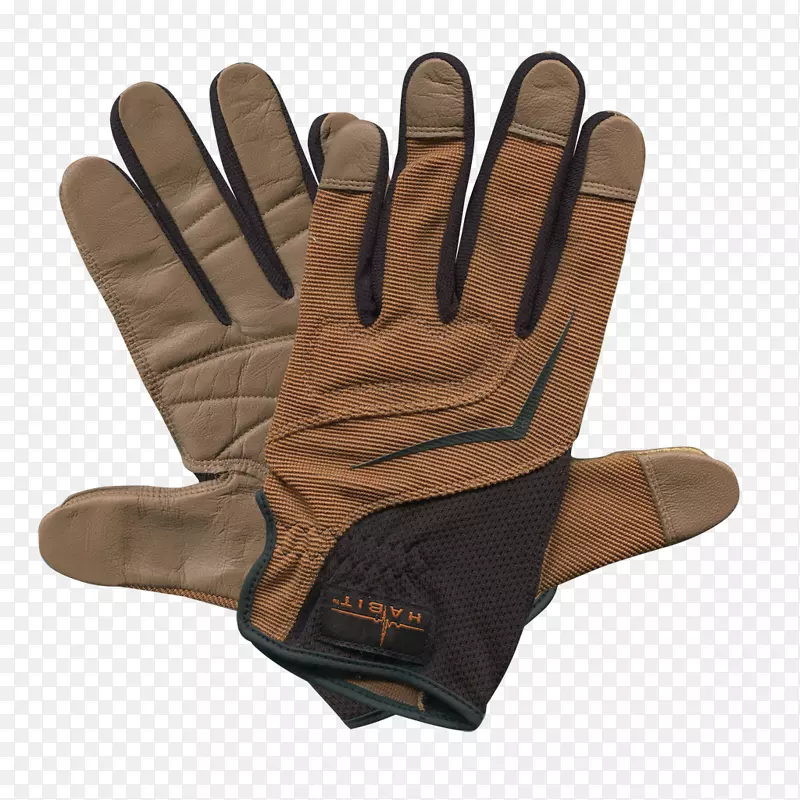 ����ָ��������Ա-������