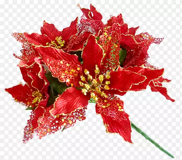 �л�����ֲ�ﻨ��-������