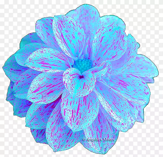 ����ʯ-Ħ����-������