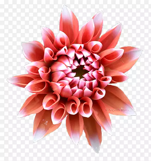 ����������л��ջ�-�ջ�-������