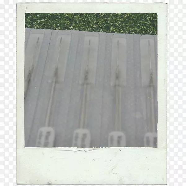 �����ϰ�Ⱦɫ���δ�-������