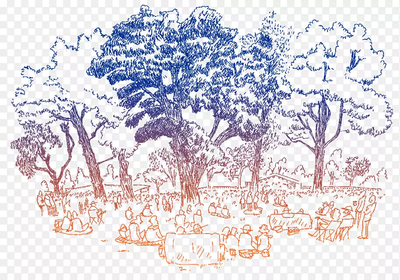 �滭��������Ӿ���������ֲ�����-������