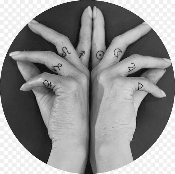 ����������ʮ����Ф��ָ��.����-������