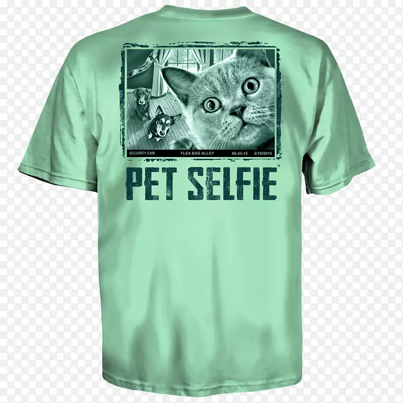 t����Ա����������t��-������