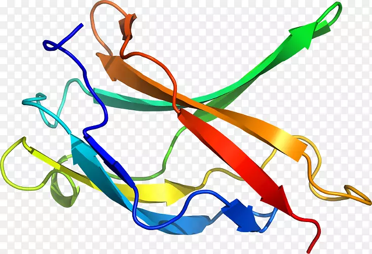 �ߵ������-��-������