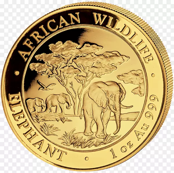 Elephantidae�����������-������