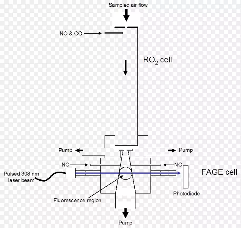 ֱ�ߵ����-������