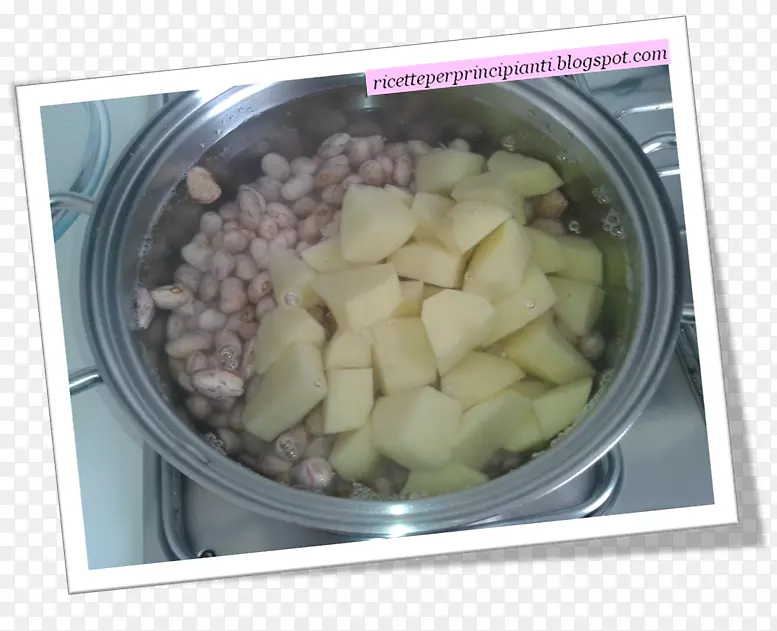 �����߲˲�������-�߲�-������