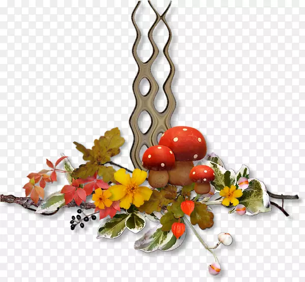 ��������߲�ˮ����-�߲�-������