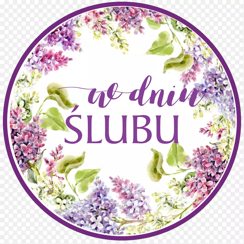 ֽ��Ӱˮ�ʻ�-��ѻ�-������