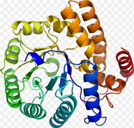 �����߶����������-������