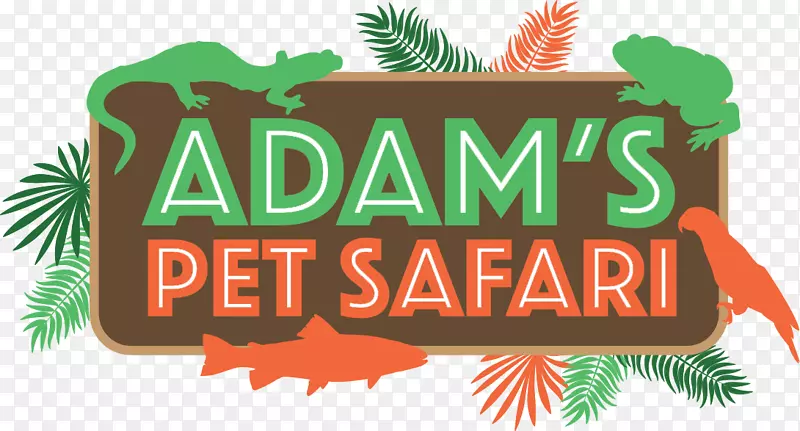 ��־��������-������