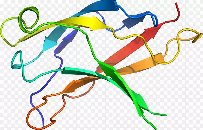 �ߵ������������-������