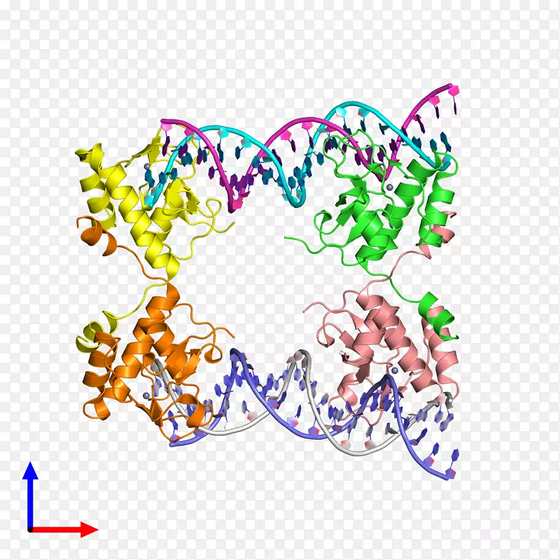 �ߵ�������������-������