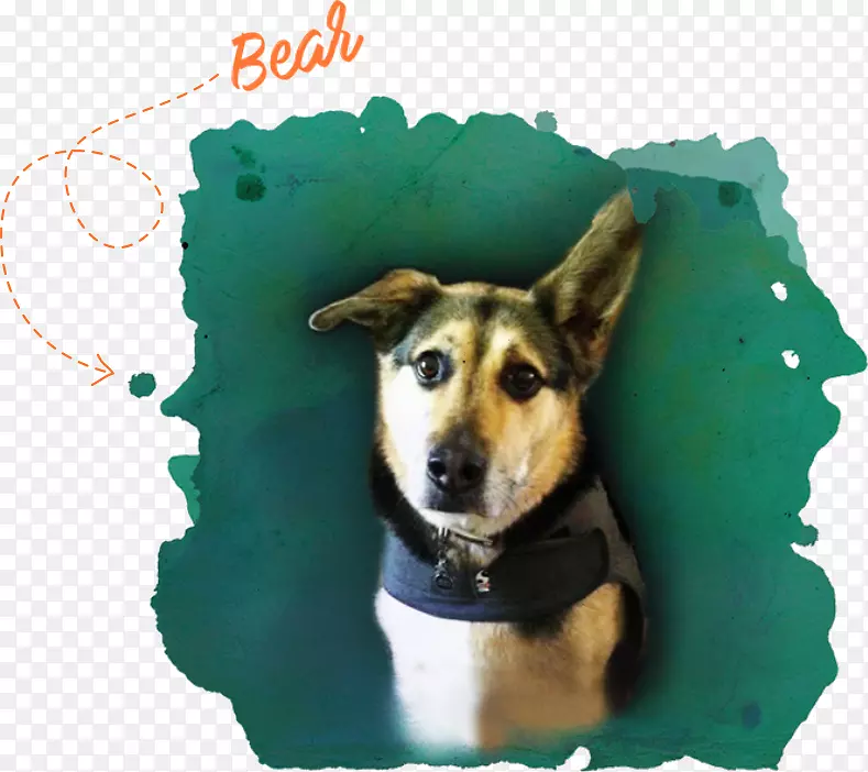 С����ֳ����-С��-������