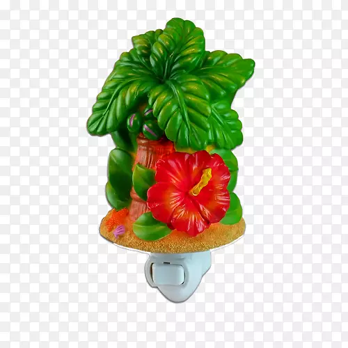 ��ݮ�߲�װ�λ���-��ݮ-������