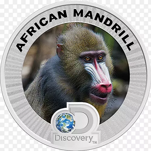 ���Ҽ��ܻ��ұ��ر�����-������