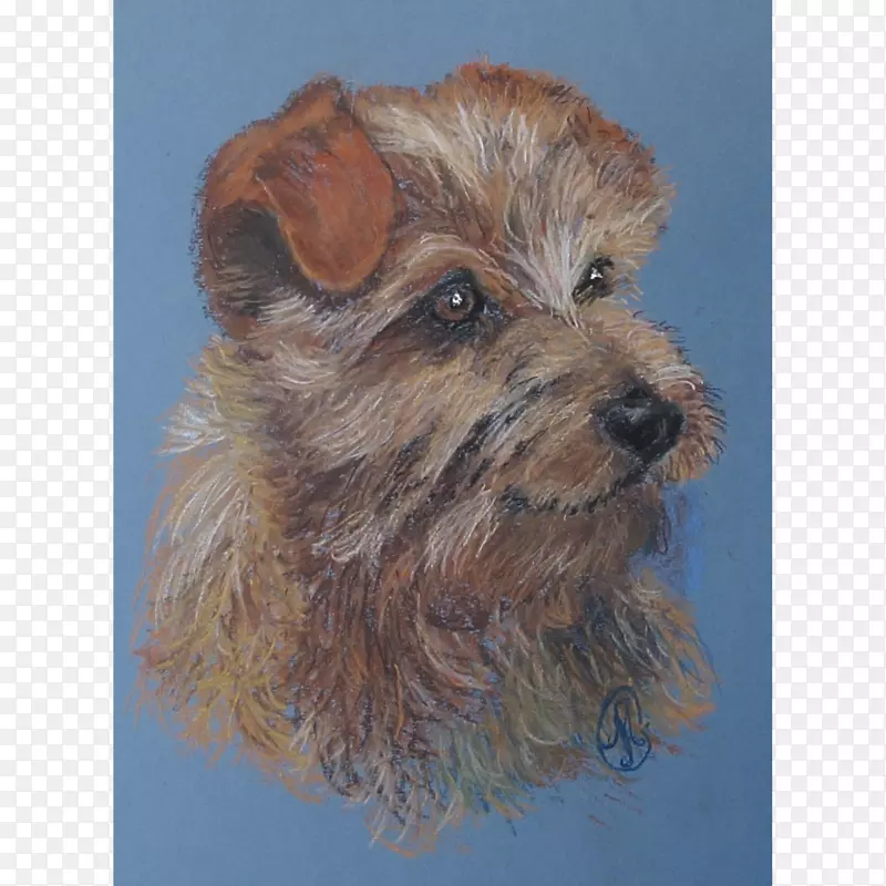 ŵά����Ȯ�����ף��Ĵ�������Ȯ���Ĵ�����˿����Ȯ��ŵ������Ȯ-�߾���ȮС��-������