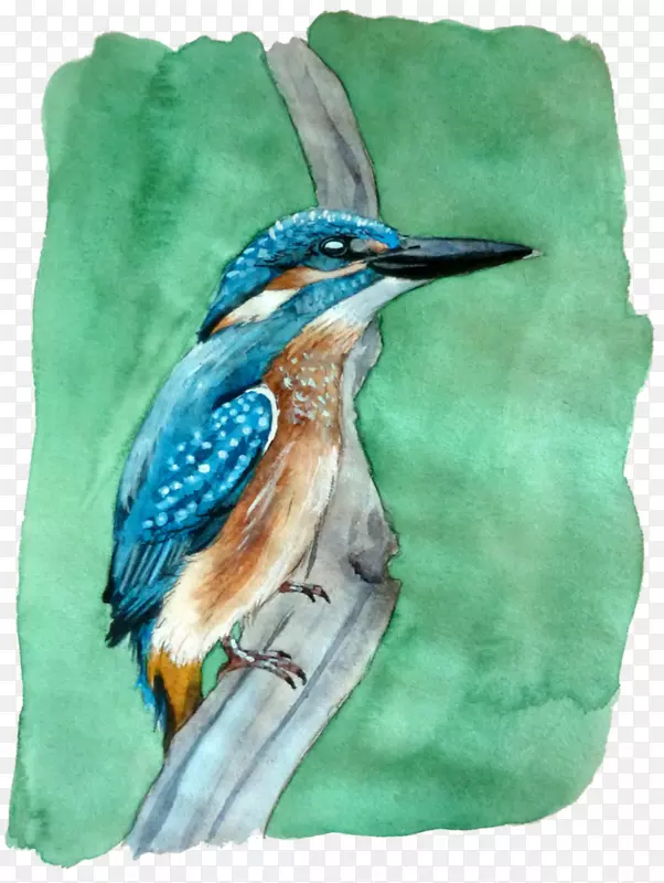 ˮ�ʻ�๶���Ⱥ-������